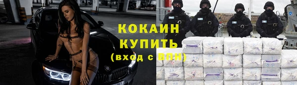 стафф Гусев