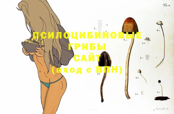 стафф Гусев