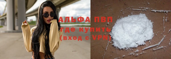 сатива Гусиноозёрск