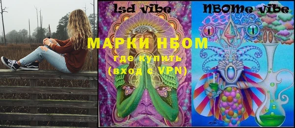 сатива Гусиноозёрск