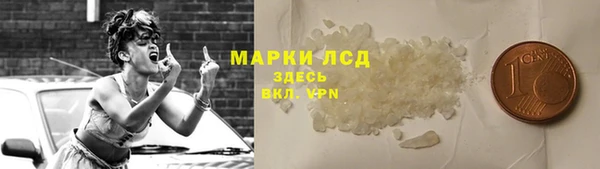 стафф Гусев