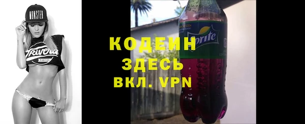 стафф Гусев