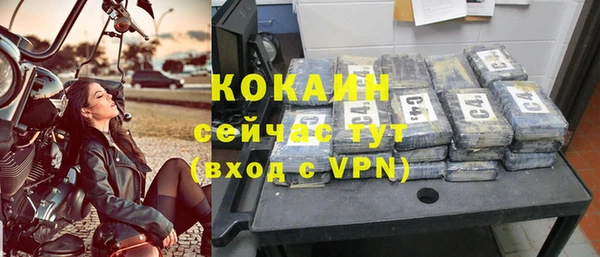 сатива Гусиноозёрск