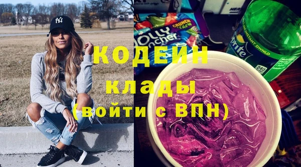 стафф Гусев