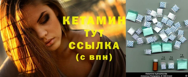 стафф Гусев