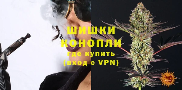 гидропоника Гусь-Хрустальный
