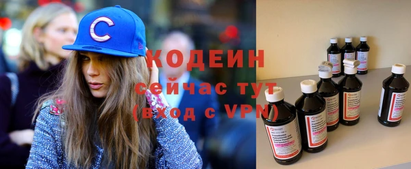 стафф Гусев