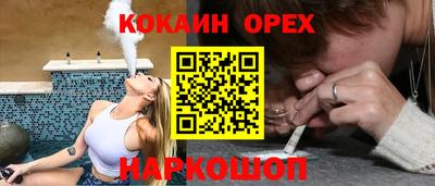 дмт Бийск