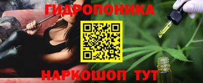 дмт Бийск