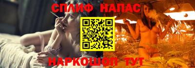 дмт Бийск