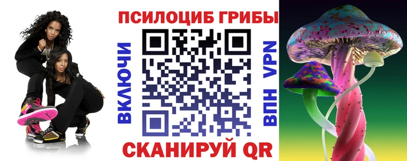закладка  Гай  Псилоцибиновые грибы MAGIC MUSHROOMS 